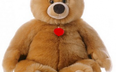 E se arriva l’orso??